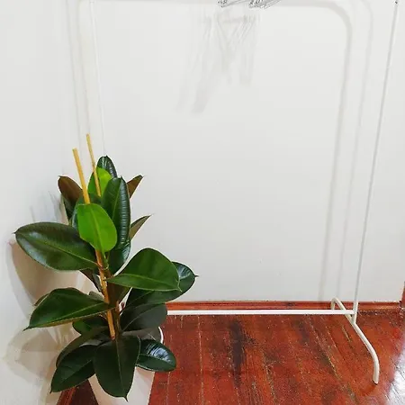 Appartement Flat Near Taksim Square *